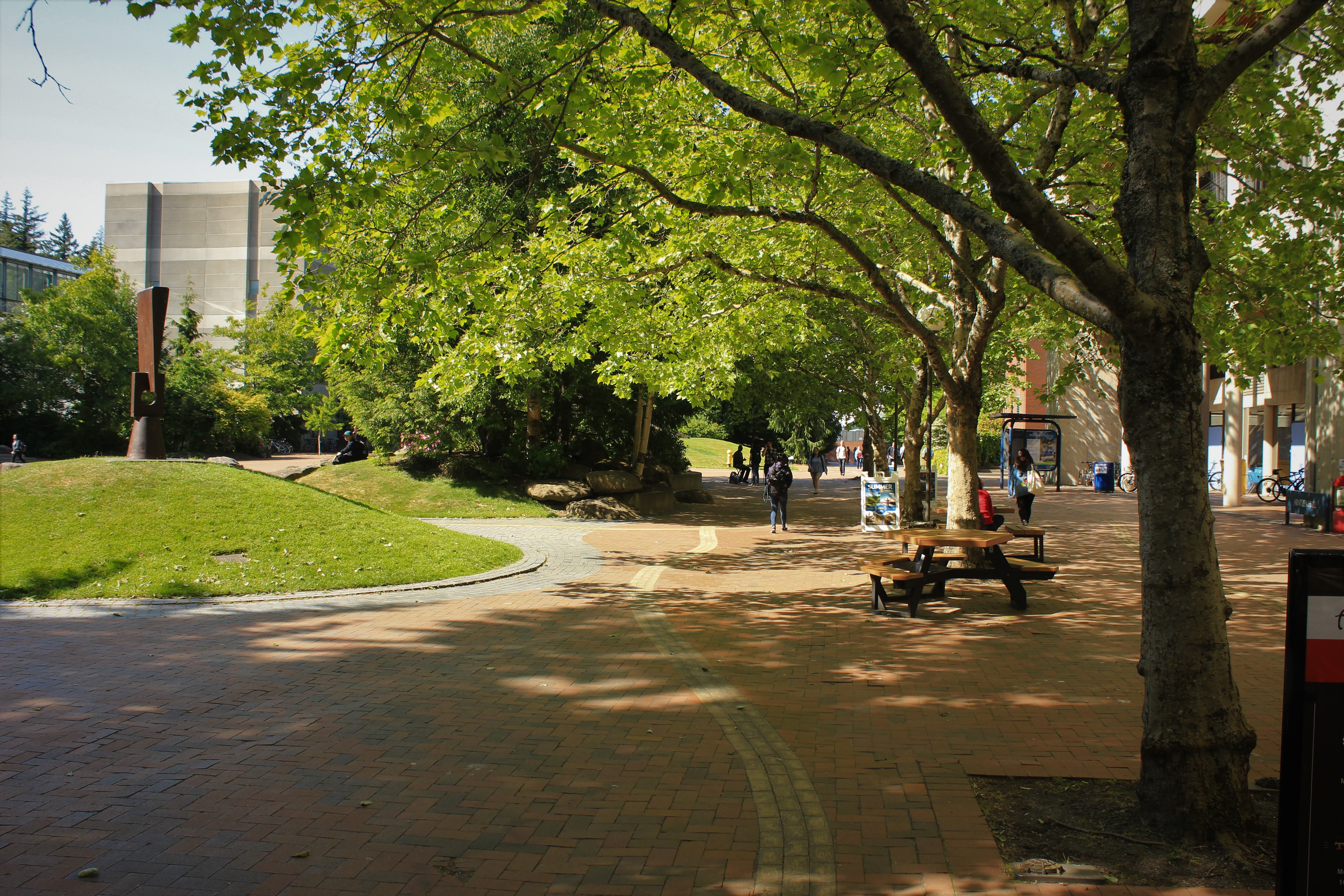 The walkway on south campus in front of Arntzen Hall on a clear spring day