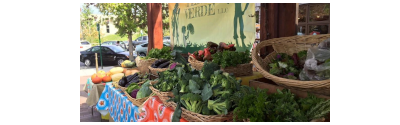 A farmer's market stand with Terra Verde produce
