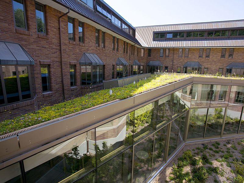 The green roof of Miller Hall