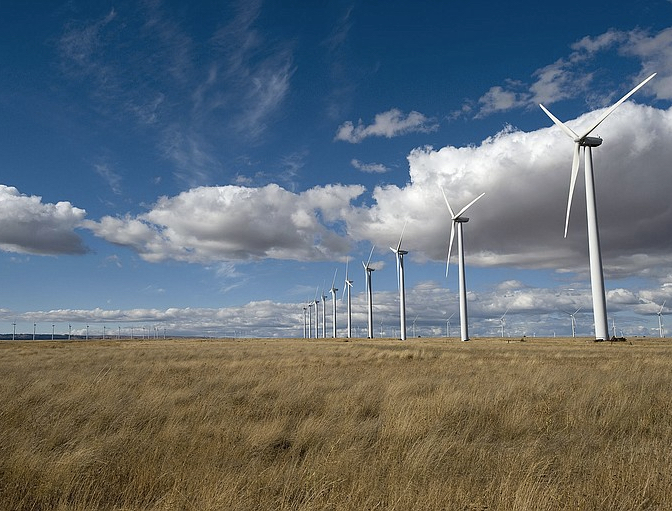 Windmills in a field of heather