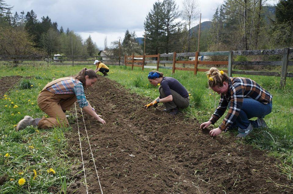 Lindsey MacDonald (left) works on a farm bed with several other workers