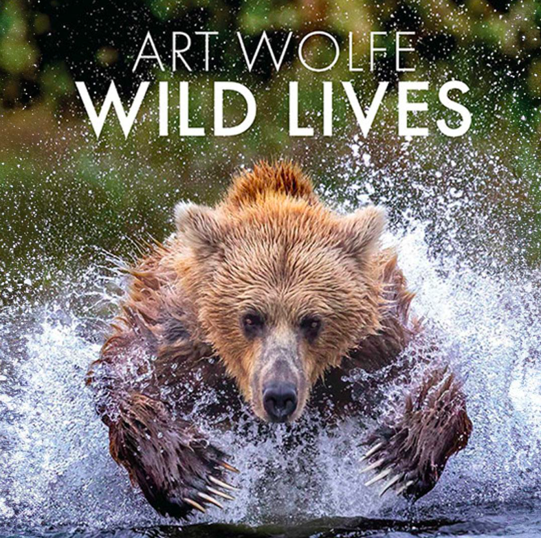 Wild Lives book cover with a huge bear leaping through the water with its ferocious claws extended